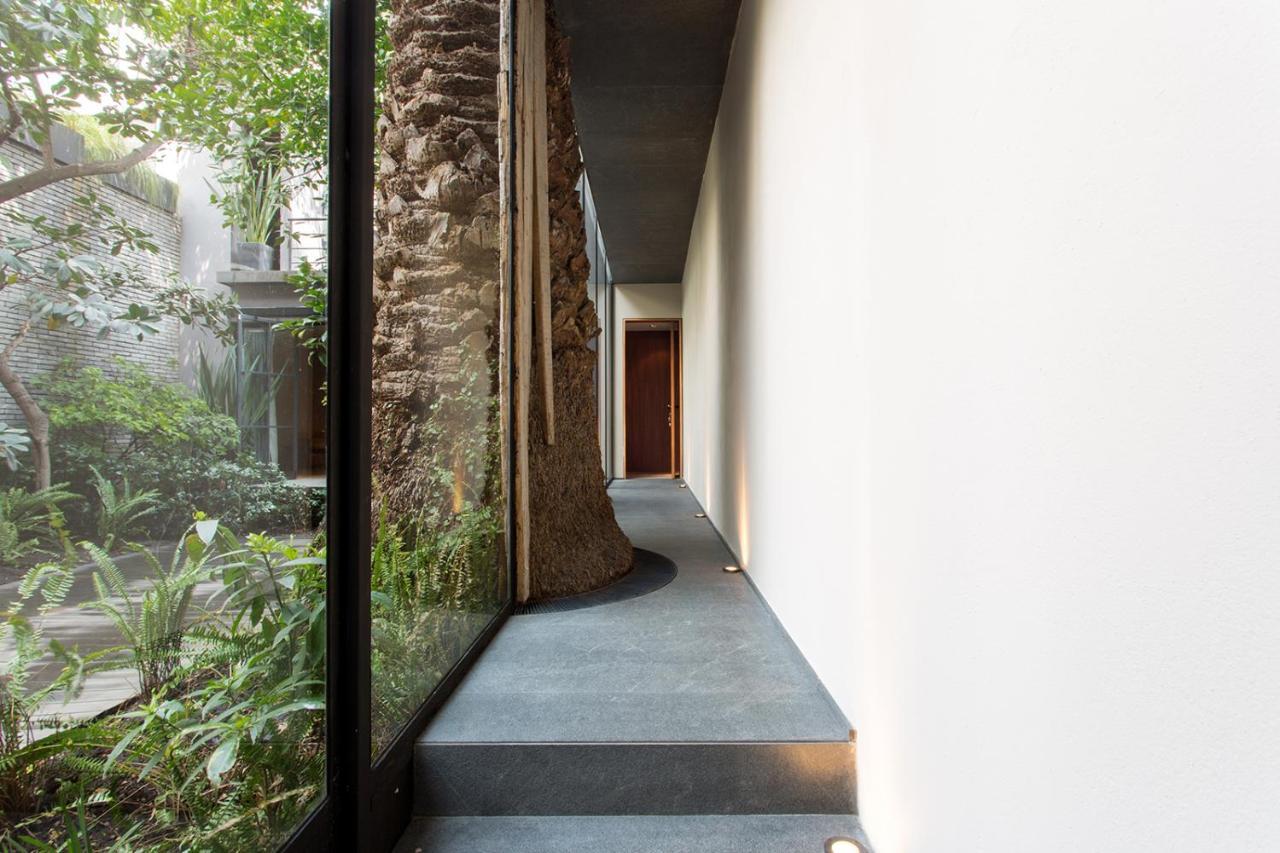 Casa 9 Ξενοδοχείο Μεξικό Εξωτερικό φωτογραφία